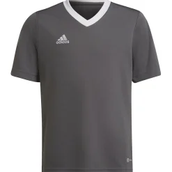 Adidas Kinder Trikot Entrada 22 grau