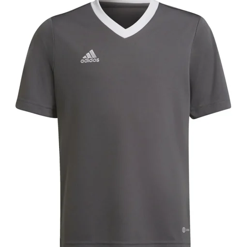 Adidas Kinder Trikot Entrada 22 grau