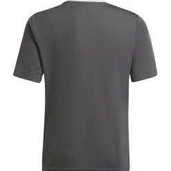 Adidas Kinder Trikot Entrada 22 grau