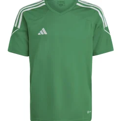 Adidas Kinder Trikot Tiro 23 grün-weiß