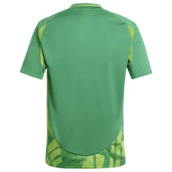 Adidas Kinder Trikot Tiro 24 Competition Match team green