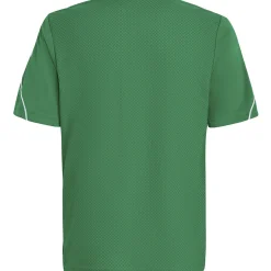 Adidas Kinder Trikot Tiro 23 grün-weiß