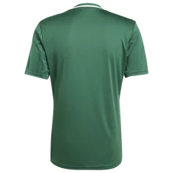 Adidas Kurzarm Trikot Campeon 25 team dark green-white