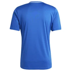 Adidas Kurzarm Trikot Campeon 25 team royal blue-white