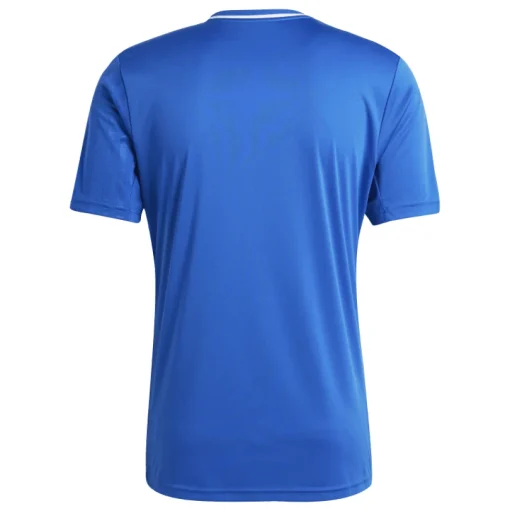 Adidas Kurzarm Trikot Campeon 25 team royal blue-white