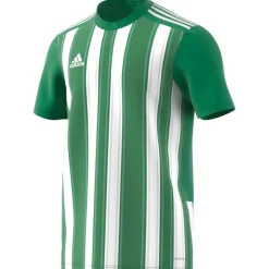 Adidas Kurzarm Trikot Striped 21 grün-weiß