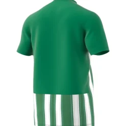 Adidas Kurzarm Trikot Striped 21 grün-weiß