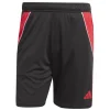 Adidas Shorts Tiro 24 black-pure ruby