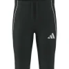 Adidas Shorts Tiro 25 Competition shadow green-team dark green