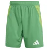 Adidas Shorts Tiro 24 Competition Match team green