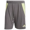 Adidas Shorts Tiro 24 grey five-pulse lime