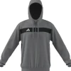 Adidas Sweat Hoodie Tiro 25 Essentials grey three-white