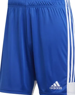 Adidas Tastigo 19 Shorts bold blue-weiß