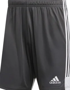 Adidas Tastigo 19 Shorts dgh solid grey-weiß