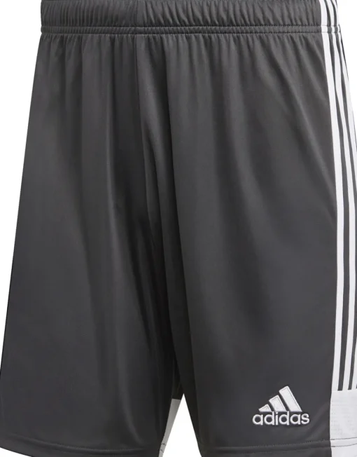 Adidas Tastigo 19 Shorts dgh solid grey-weiß