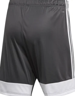 Adidas Tastigo 19 Shorts dgh solid grey-weiß