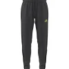 Adidas Trainingshose Tiro 25 Essentials grey six-black