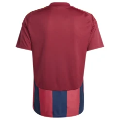 adidas Trikot Striped 24 Team Navy Blue / Team Coll Burgundy / Team Yellow