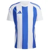 adidas Trikot Striped 24 White / Team Royal Blue