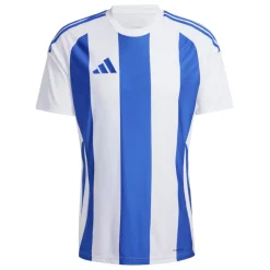 adidas Trikot Striped 24 White / Team Royal Blue