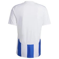adidas Trikot Striped 24 White / Team Royal Blue