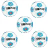 Derbystar Ballpaket 5x Bundesliga Brillant APS v24 Spielball inkl. Ballschlauch | Größe 5