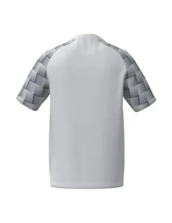 Erima EVO STAR Trikot weiß/slate grey