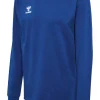Hummel Hmlauthentic 24 Co Training Sweat true blue