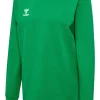 Hummel Hmlauthentic 24 Co Training Sweat jelly bean
