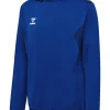 Hummel Hmlauthentic 24 Pl Hoodie true blue