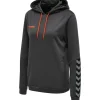Hummel Hmlauthentic 24 Poly Hoodie Woman asphalt