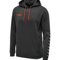 Hummel Hmlauthentic 24 Poly Hoodie asphalt
