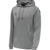 Hummel Hmlcore XK Poly Sweat Hoodie grey melange