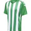 Hummel Hmlcore XK Striped Jersey S/S jelly bean/white