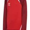 Hummel hmlLEAD 2.0 HALF ZIP KIDS true red/maroon