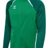 Hummel hmlLEAD 2.0 ZIP HOODIE jelly bean/evergreen