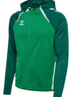 Hummel hmlLEAD 2.0 ZIP HOODIE jelly bean/evergreen