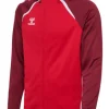 Hummel hmlLEAD 2.0 ZIP HOODIE true red/maroon