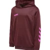 Hummel Hmlpromo Kids Poly Hoodie biking red/raspberry sorbet