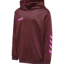 Hummel Hmlpromo Kids Poly Hoodie biking red/raspberry sorbet