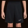 Nike Academy 25 Shorts Kinder black F010
