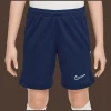 Nike Academy 25 Shorts Kinder blue F410