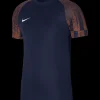 Nike Academy Trikot blue red F411