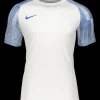 Nike Academy Trikot Kinder white blue F102