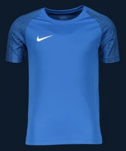 Nike Academy Trikot Kinder blue white F464