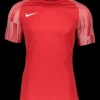 Nike Academy Trikot Kinder red white F657