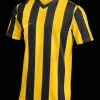 Nike Division V Striped Trikot yellow F719