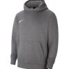 Nike Kinder Fleece Hoodie Park 20 grau-weiß