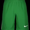 Nike League III Shorts green F302