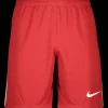 Nike League III Shorts red F657